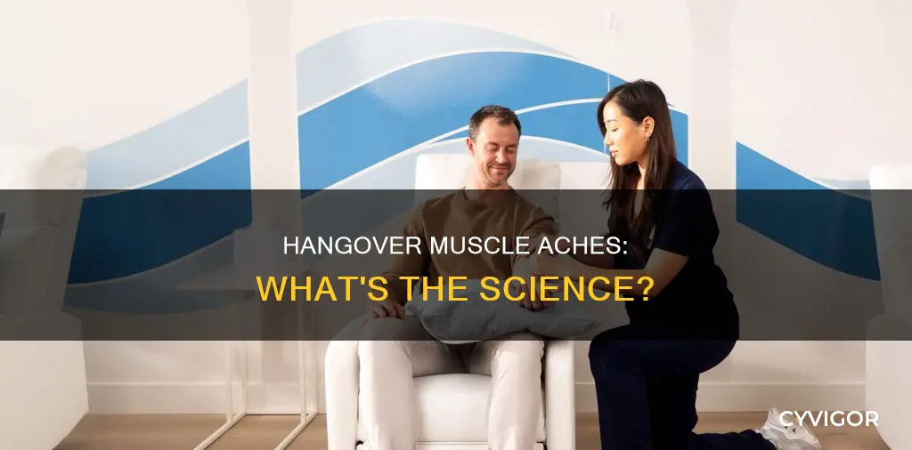 can a hangover cause muscle aches