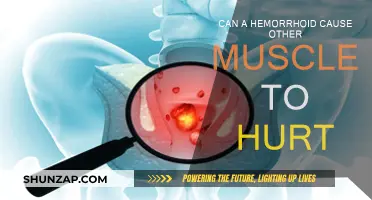 How Hemorrhoids Cause Muscle Pain and Discomfort