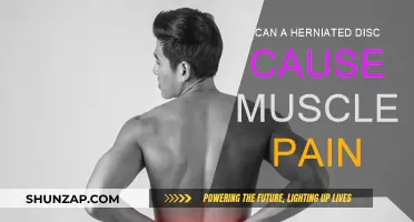 Herniated Discs: Understanding the Cause of Muscle Pain