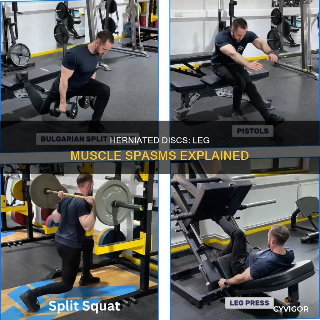 can a herniated disc cause muscle spasms in both legs