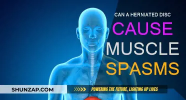 Herniated Discs and Muscle Spasms: What's the Link?