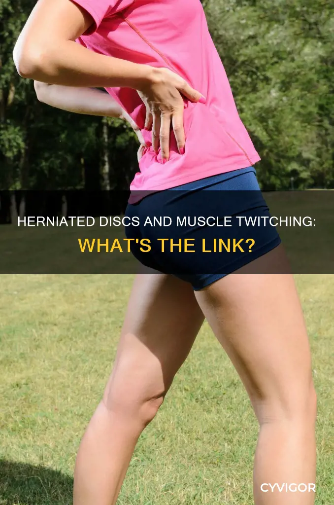 can a herniated disc cause muscle twitching