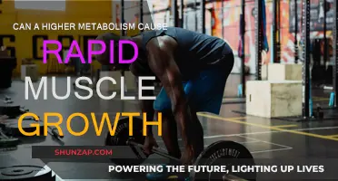 Metabolism and Muscle Growth: The Link Explained