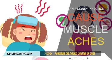 Kidney Infection and Muscle Aches: What's the Link?