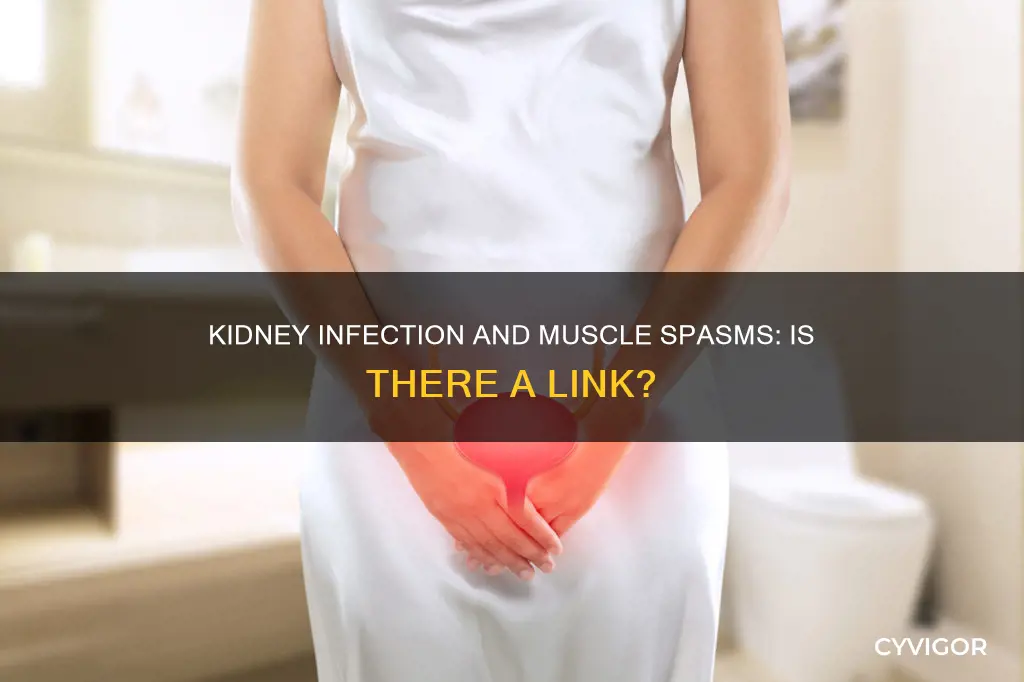 can a kidney infection cause muscle spasms