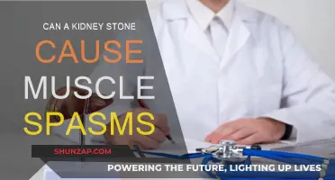 Kidney Stone Muscle Spasms: What's the Link?