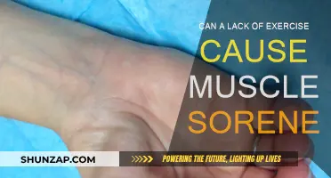 Exercise and Muscle Soreness: What's the Connection?