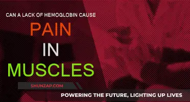 How Hemoglobin Deficiency Triggers Muscle Pain