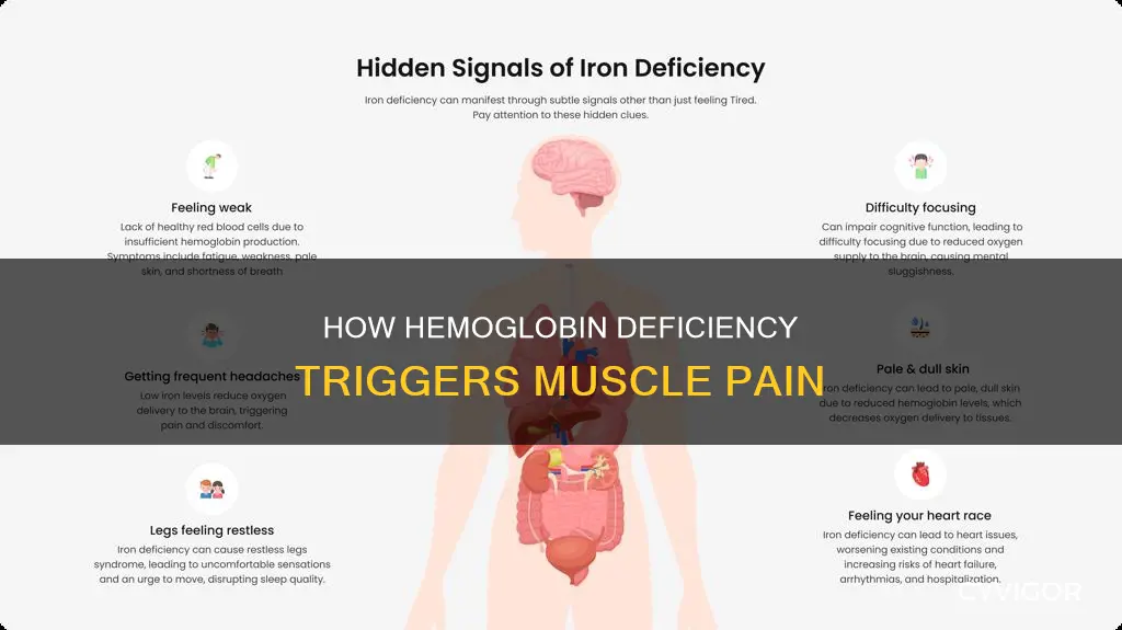 can a lack of hemoglobin cause pain in muscles