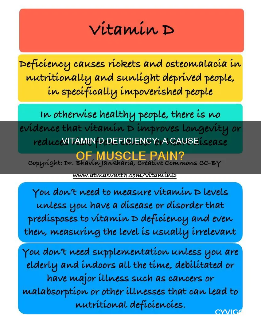 can a lack of vitamin d cause muscle pain