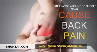 Muscle Mass and Back Pain: Is There a Link?
