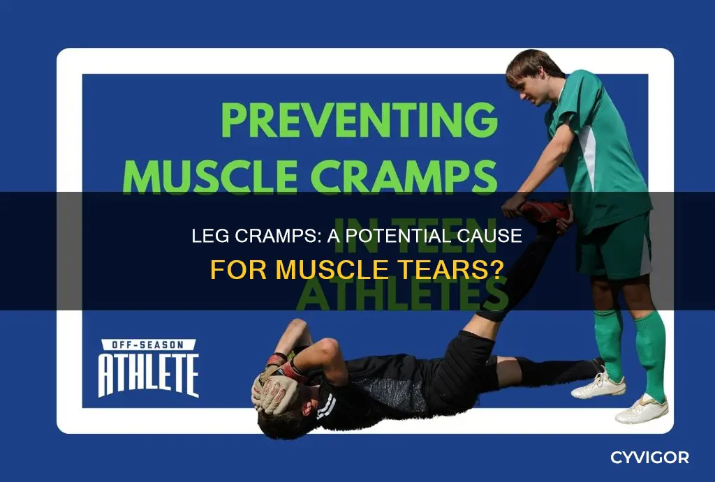 can a leg cramp cause a muscle tear