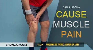 Lipoma and Muscle Pain: Is There a Link?
