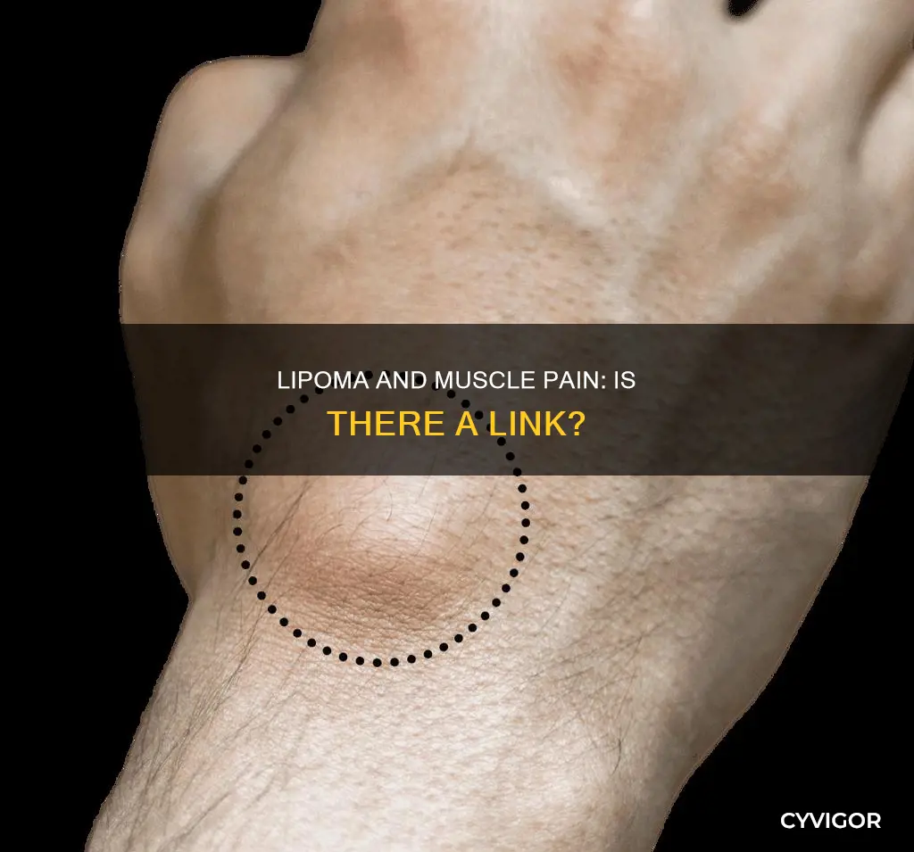 can a lipoma cause muscle pain