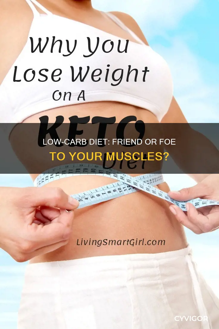 can a low carb diet cause loss body muscle