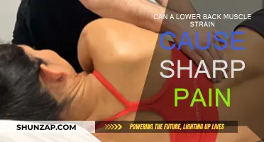 Sharp Pain from Lower Back Muscle Strain: What to Know