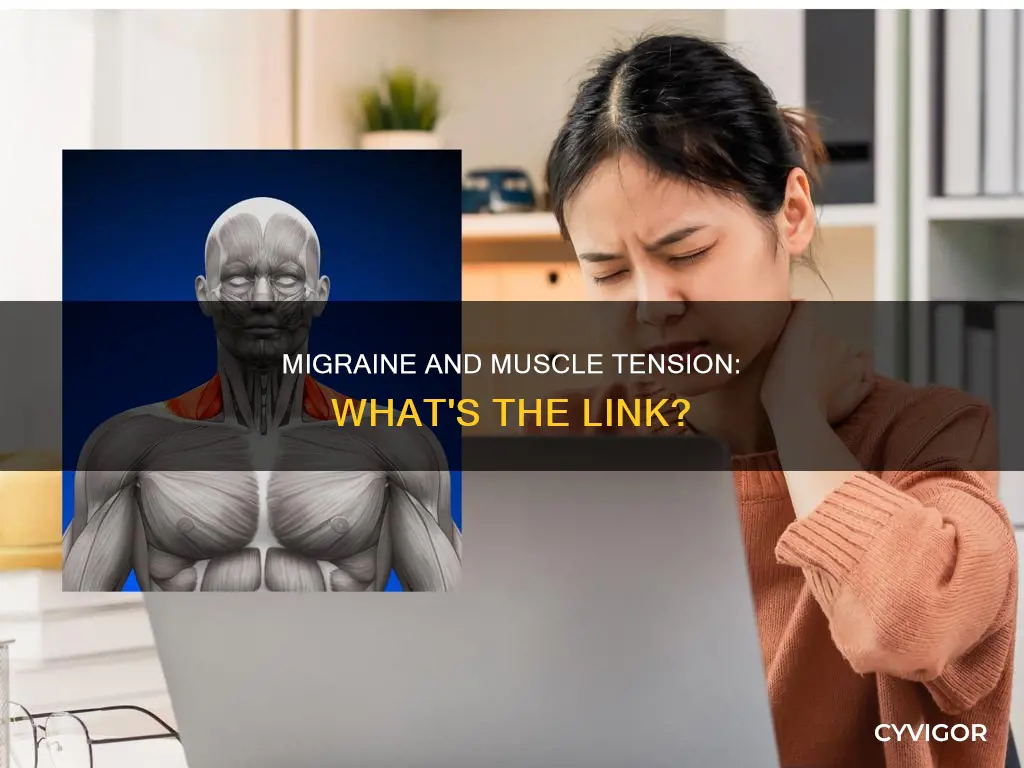 can a migraine cause full body muscle tension