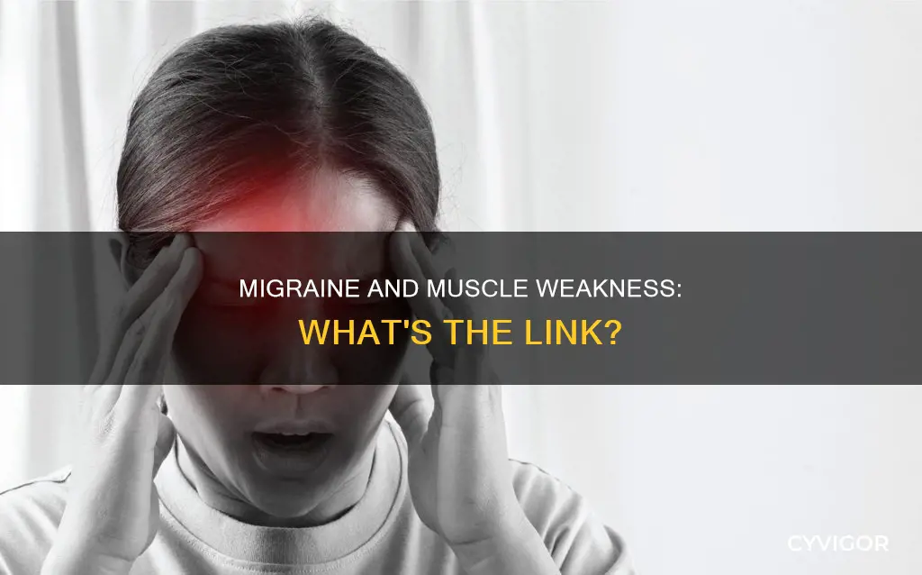 can a migraine cause muscle weakness