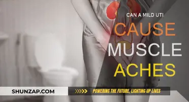 UTI and Muscle Aches: What's the Link?