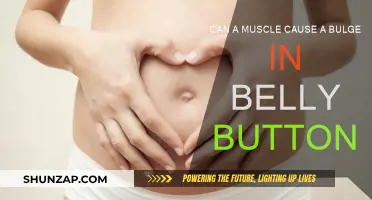 Belly Button Bulge: What Muscle Could Be the Culprit?