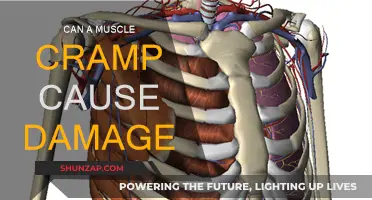 Muscle Cramps: Are They Harmful?