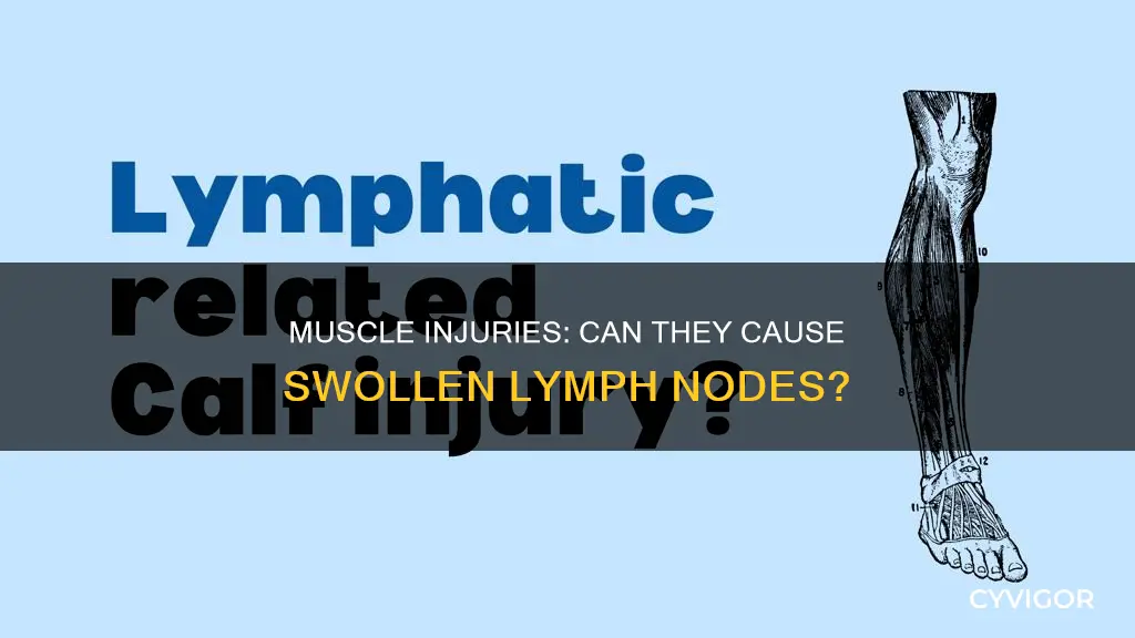 can a muscle injury cause lymph nodes to swell