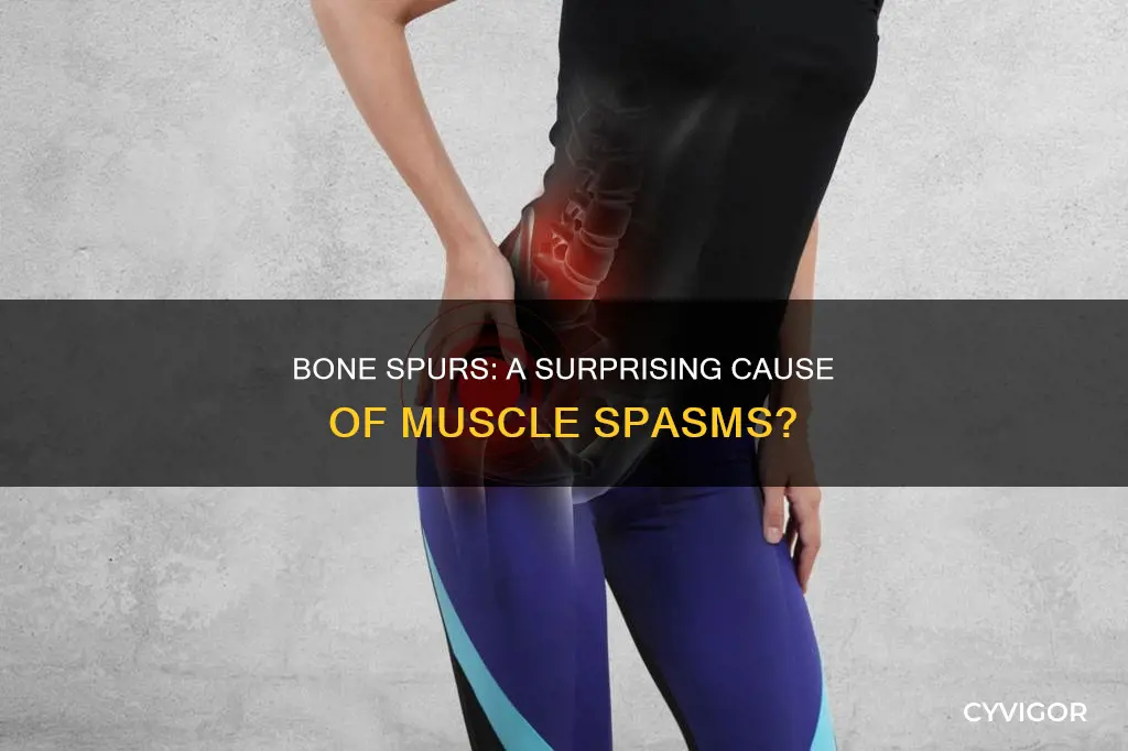 can a muscle spasm be caused by a bone spur