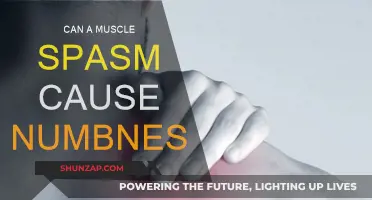 Muscle Spasms: Understanding Numbness and Its Causes