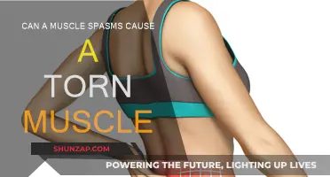Muscle Spasms: A Tearing Risk?