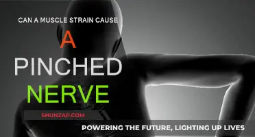Muscle Strains: A Cause of Pinched Nerves?