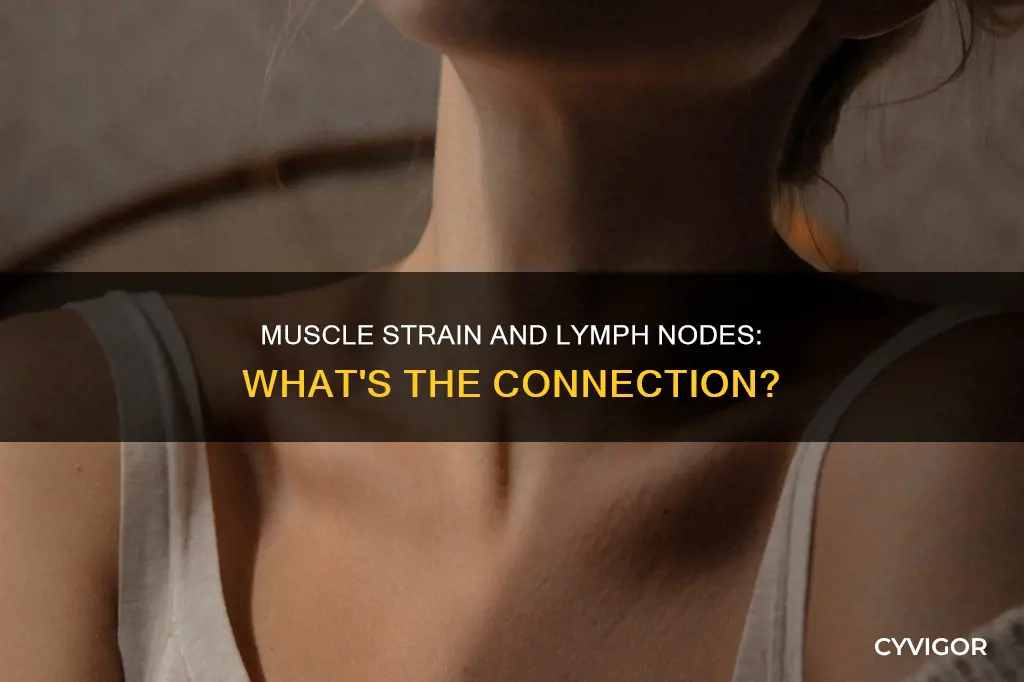 can a muscle strain cause a red swollen lymph node