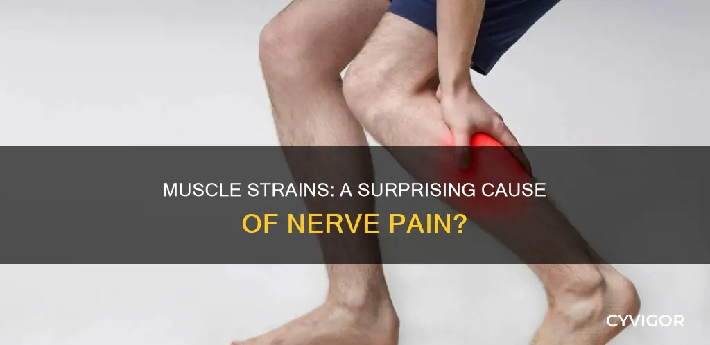 can a muscle strain cause nerve pain