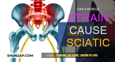 Muscle Strain and Sciatica: What's the Connection?