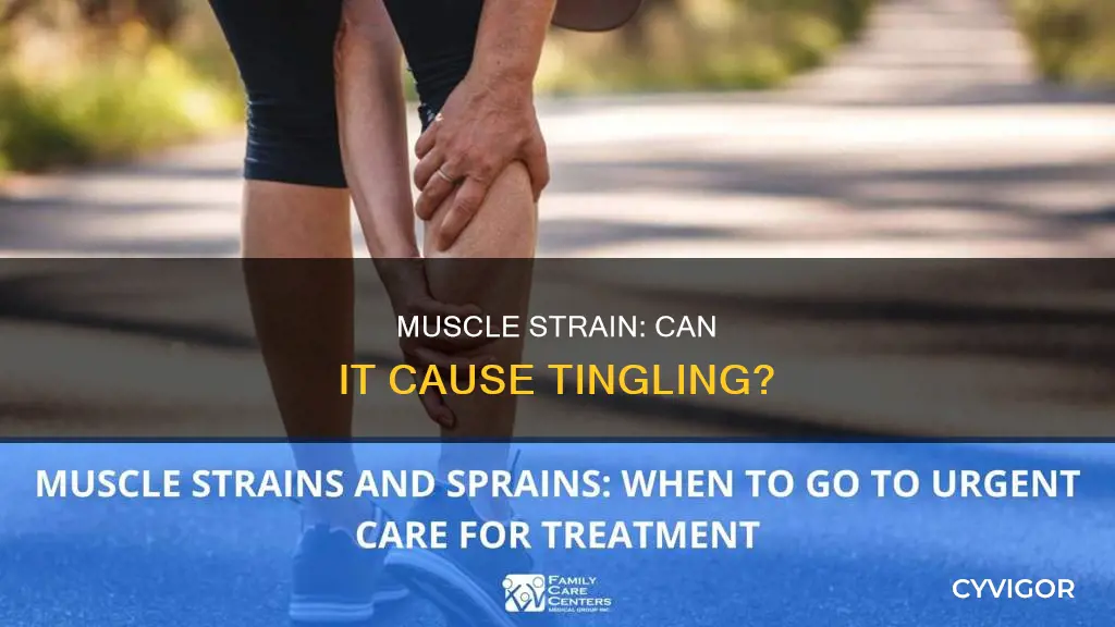 can a muscle strain cause tingling