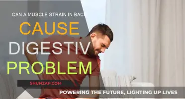 Back Strain and Digestion: What's the Link?