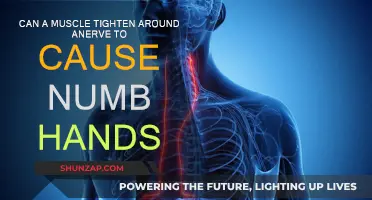 Muscle Tightness: Nerve Compression and Hand Numbness
