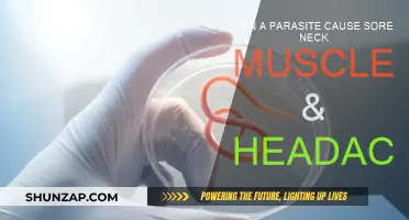 Parasite-Induced Pain: Sore Neck and Headaches