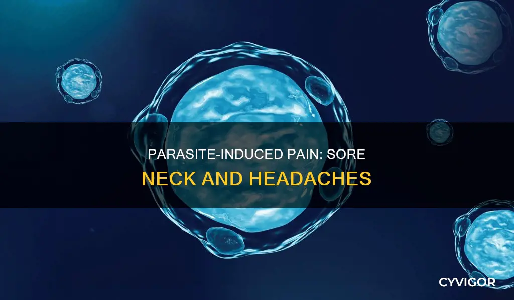can a parasite cause sore neck muscles & headaches