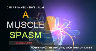 Pinched Nerves: Muscle Spasms and How to Treat Them
