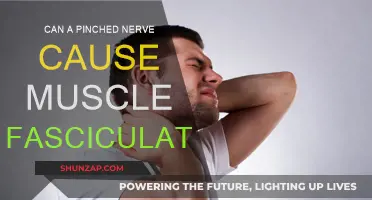 Pinched Nerve and Muscle Fasciculations: What's the Link?