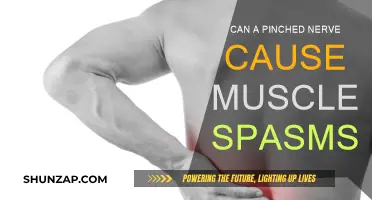 Pinched Nerve: Muscle Spasms and Treatment