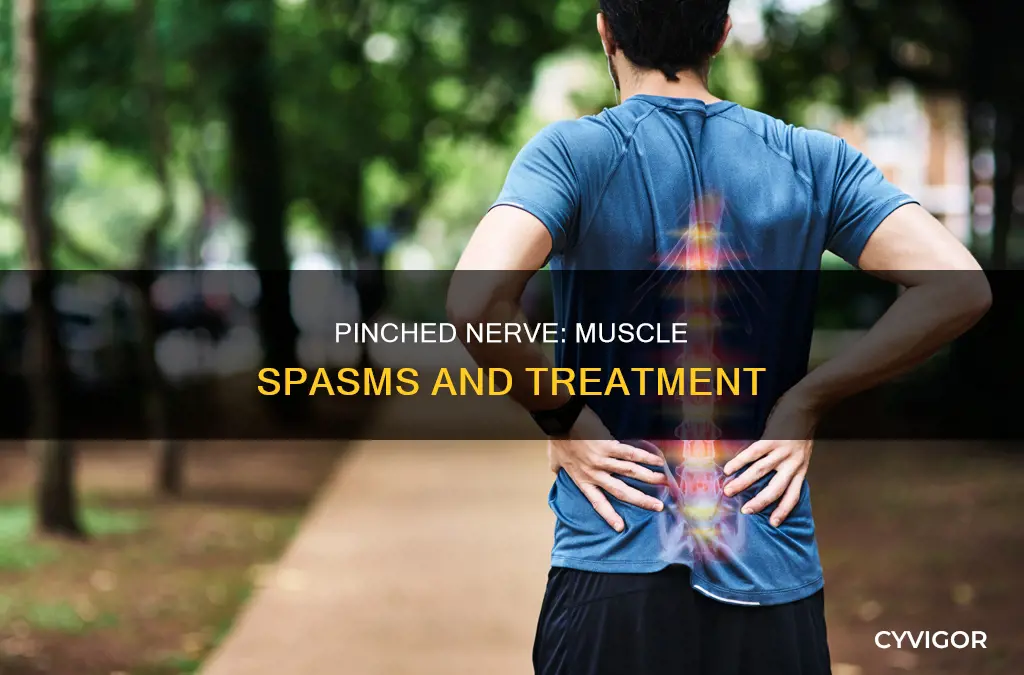 can a pinched nerve cause muscle spasms