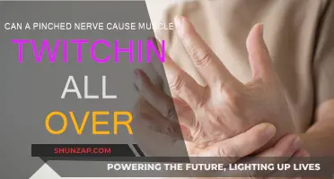 Pinched Nerve: Can It Cause Full-Body Muscle Twitching?