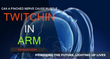 Pinched Nerve and Arm Twitching: What's the Link?