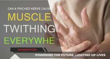 Pinched Nerve: Can It Cause Muscle Twitches All Over?