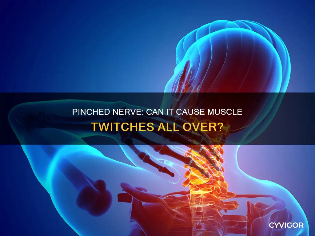 can a pinched nerve cause muscle twithing everywhere