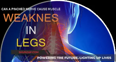 Pinched Nerve: Leg Muscle Weakness Causes