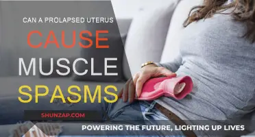 Uterus Prolapse: Muscle Spasms and Their Link