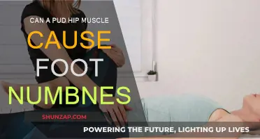 Pudendal Nerve Entrapment: Foot Numbness and Hip Pain