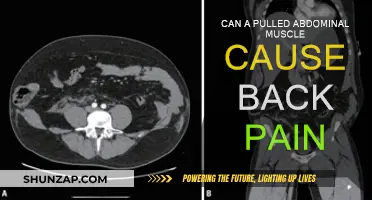 Pulled Abdominal Muscle: Can It Cause Back Pain?